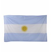 Bandera Argentina con Sol 2018-4