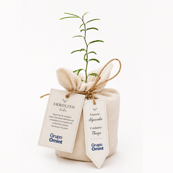 Arbol bebe presentado en bolsa de lienzo + grafica personalizada
