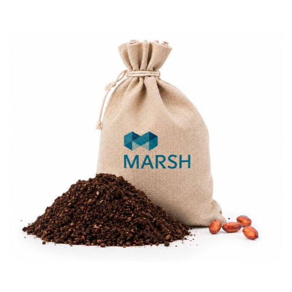 Kit de germinacion - Economico
